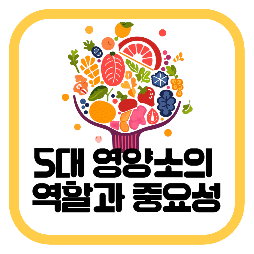 5대 영양소의 역할과 중요성 | 남정네 건강칼럼