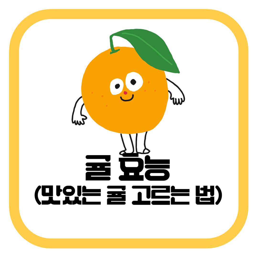 귤 효능 10가지 총정리(맛있는 귤 고르는 법) | 남정네 건강칼럼
